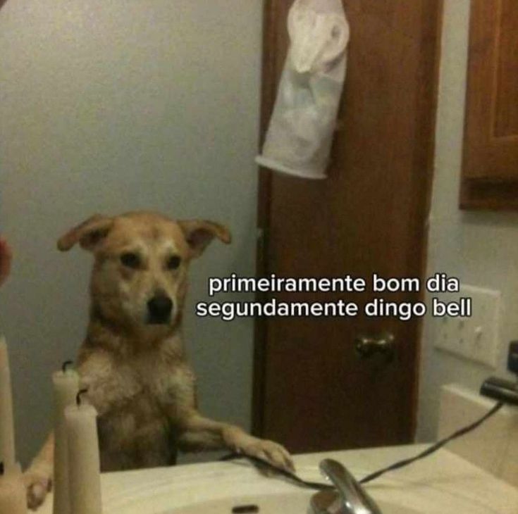 Faça parte do nosso primeiro Natal como família